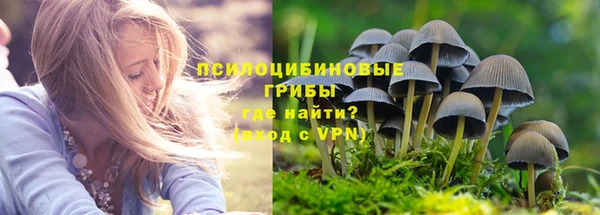ГАЛЛЮЦИНОГЕННЫЕ ГРИБЫ Алексин