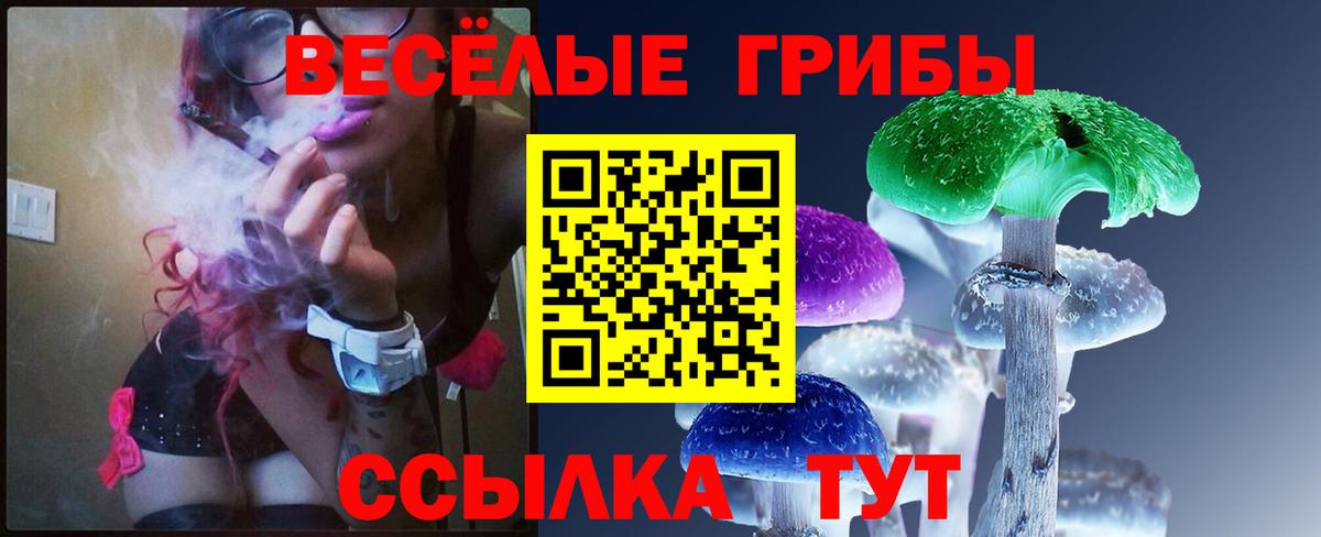 Галлюциногенные грибы мухоморы Воткинск